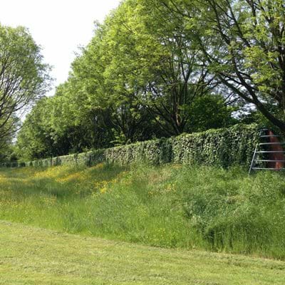 greenscreen standard noise barrier